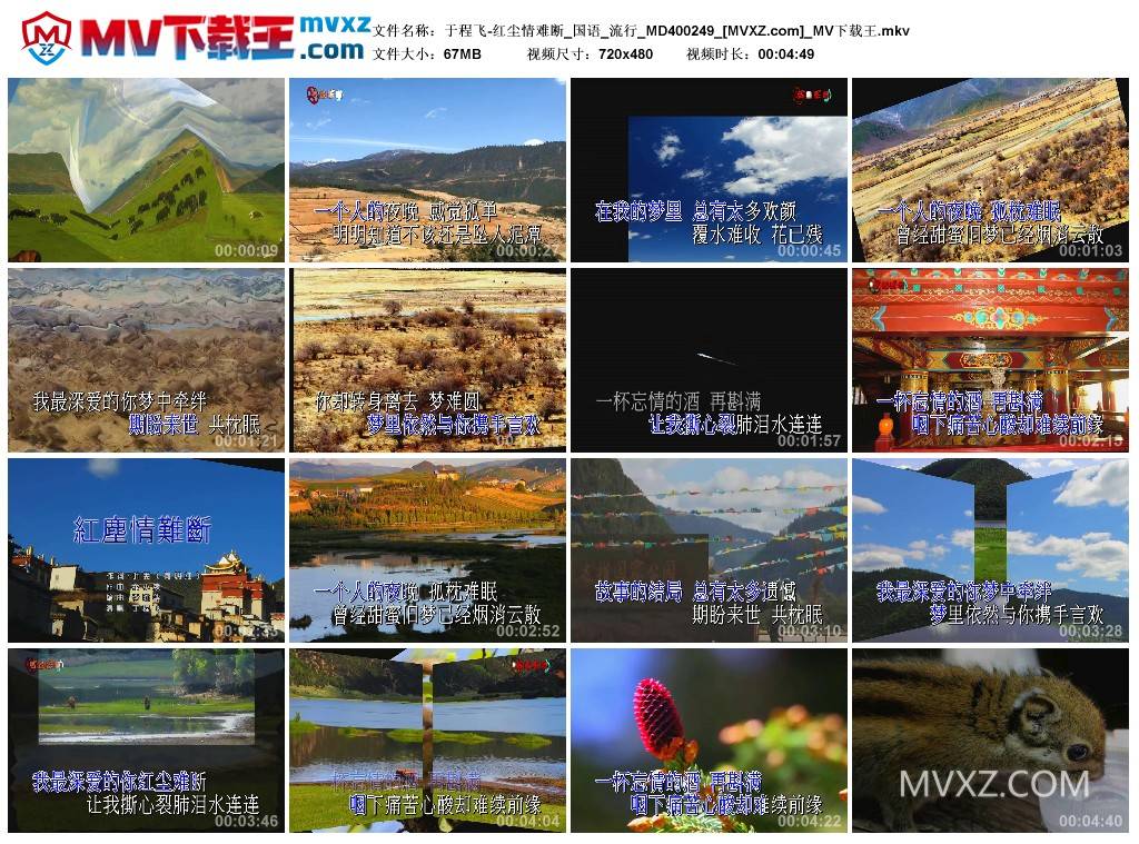 于程飞-红尘情难断_国语_流行_MD400249